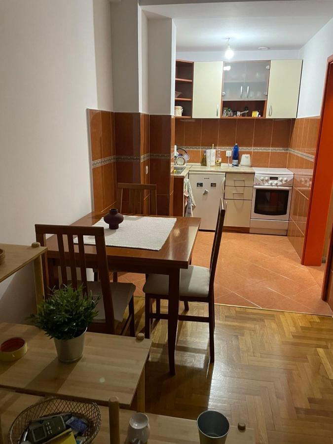 Apartman Sasa Podgorica Exteriör bild
